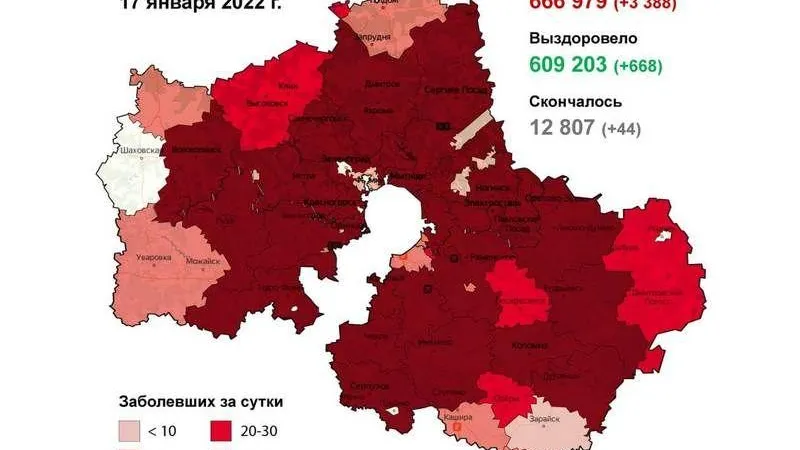 Балашиха и Одинцовский округ возглавили топ антилидеров по «короне»