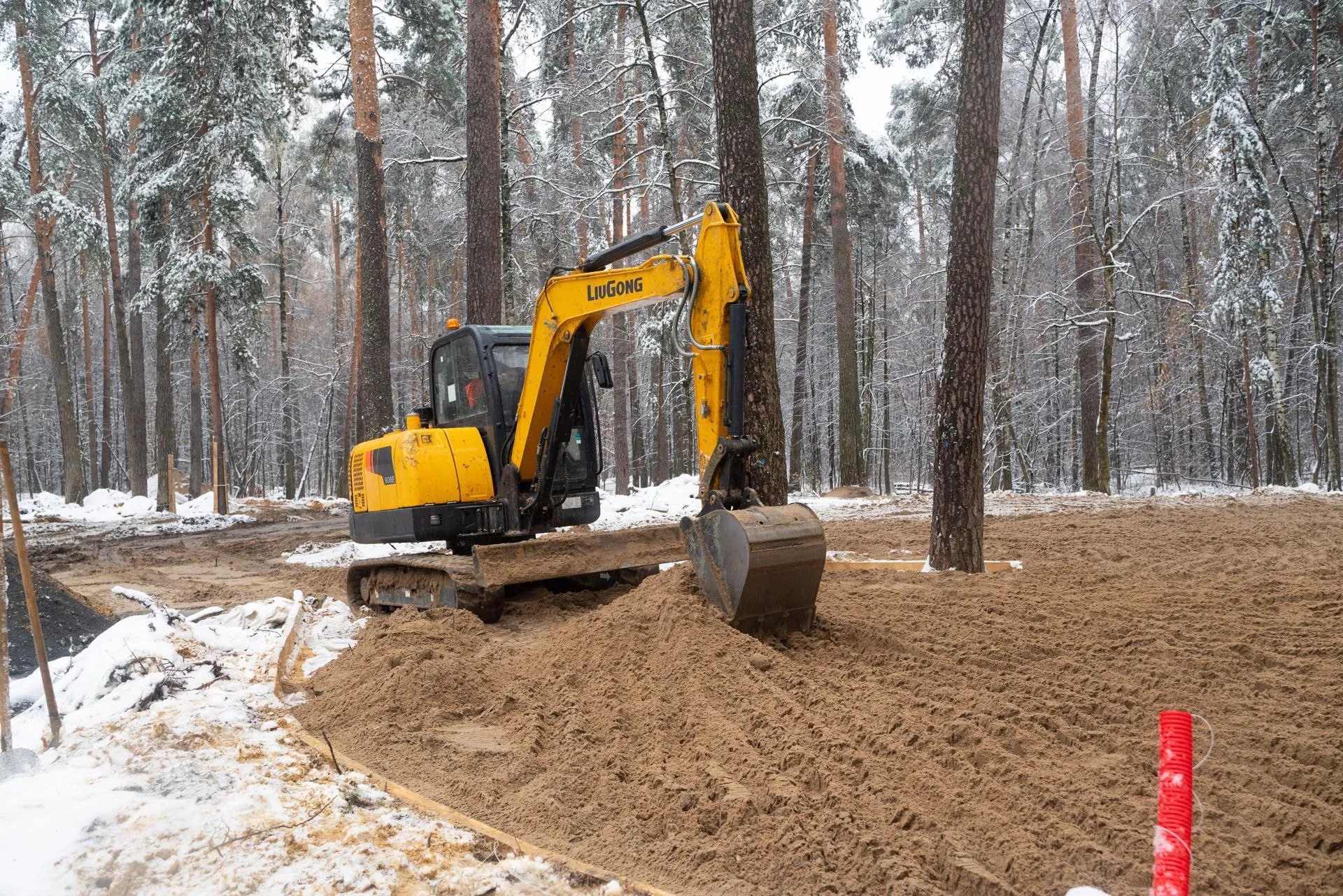 Фото: Александр Щербаков