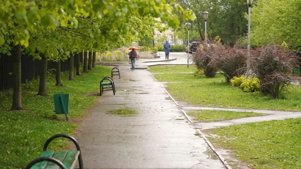 Фото: пресс-служба администрации м.о. Котельники