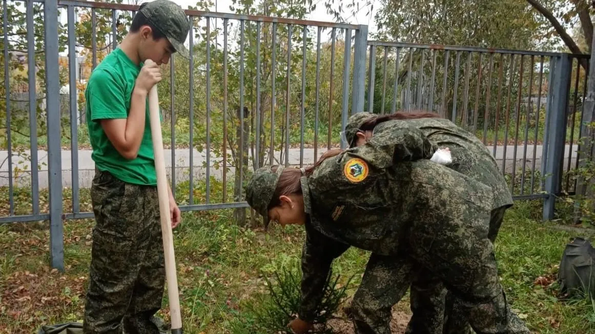 Фото: Комитет лесного хозяйства Московской области
