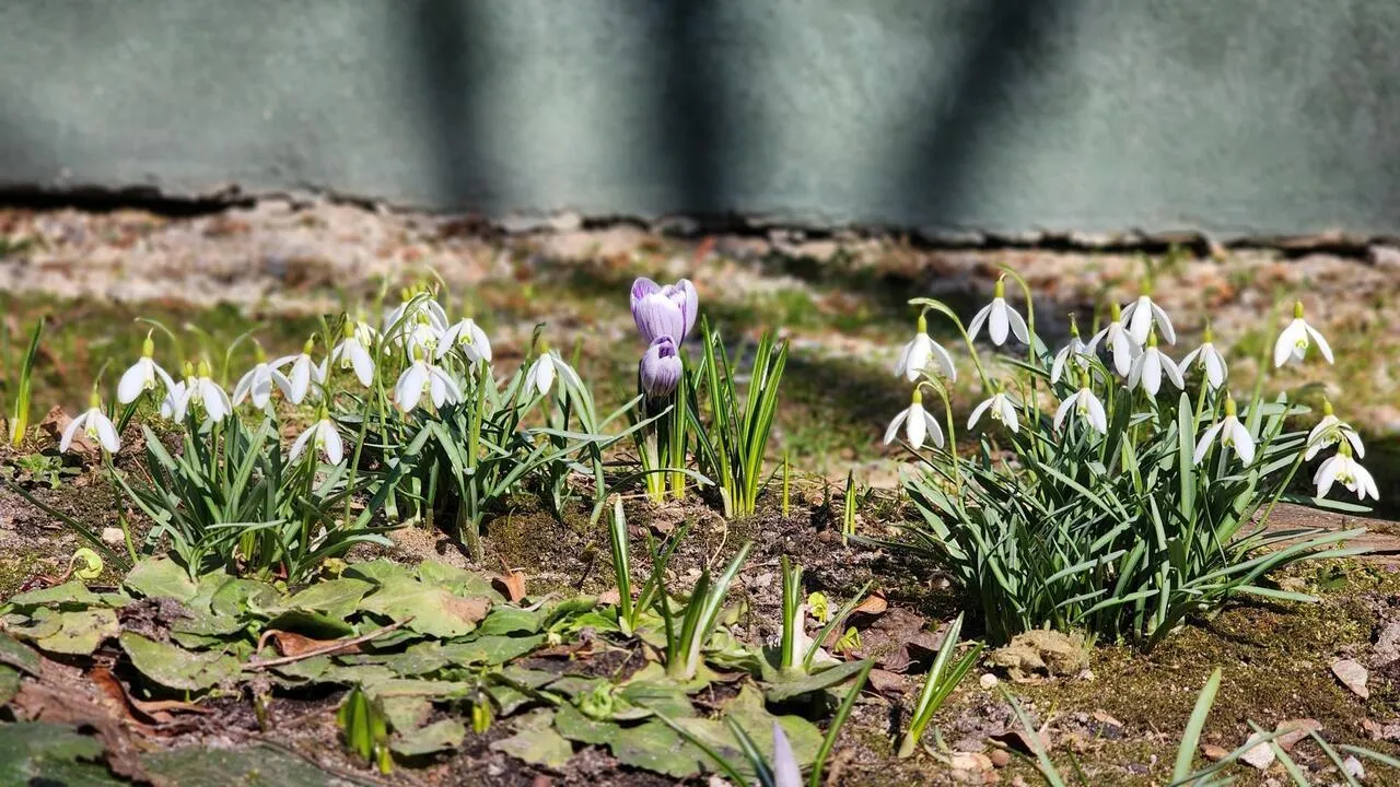 REGIONS/Валерия Тингаева