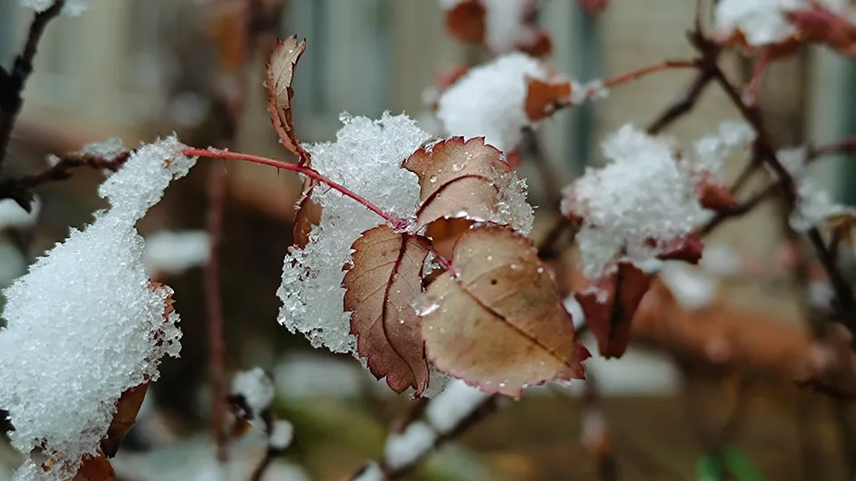 Фото: МедиаБанк Подмосковья/Екатерина Дятловская