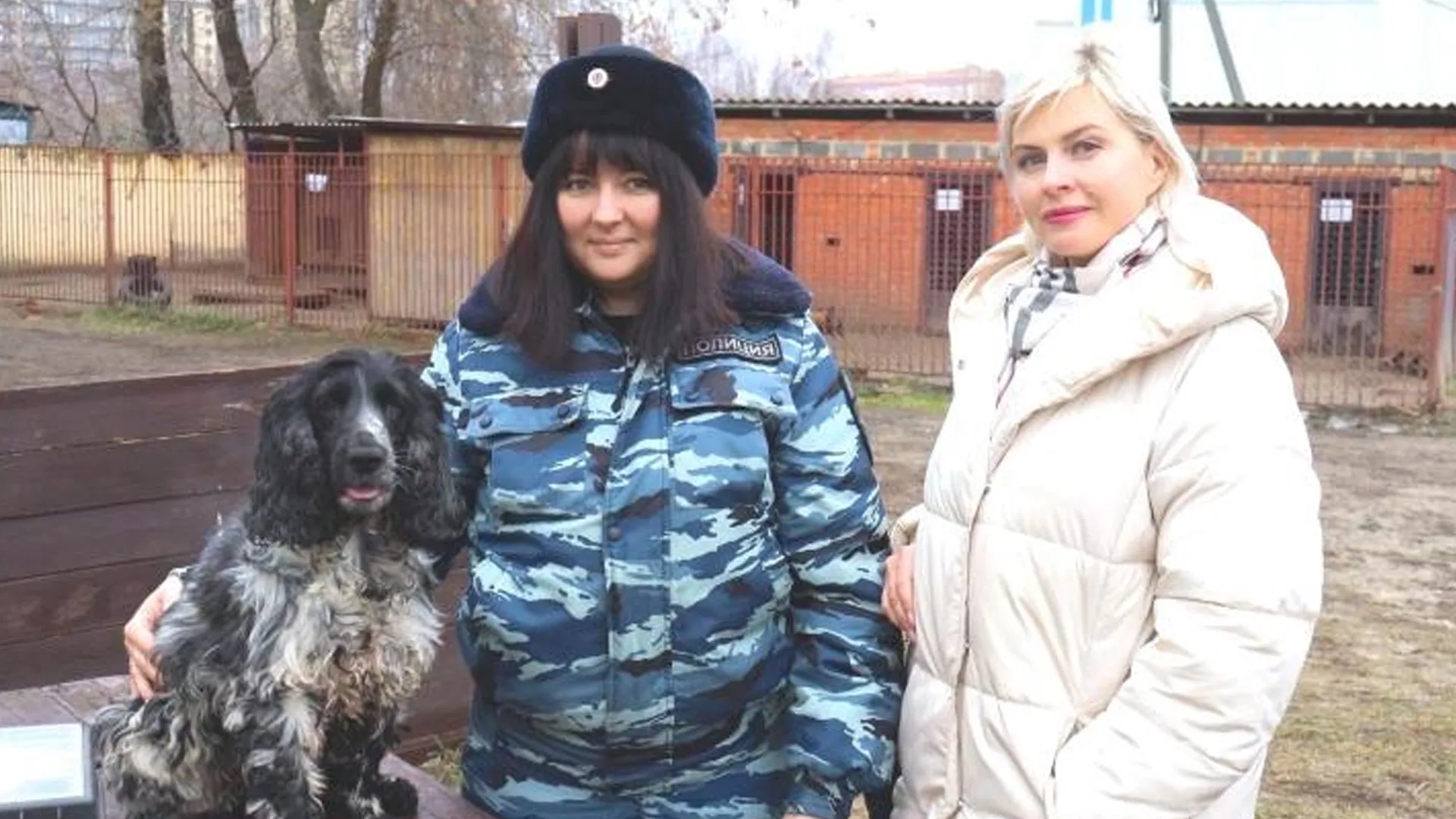 Фото: УМВД России по г.о. Воскресенск