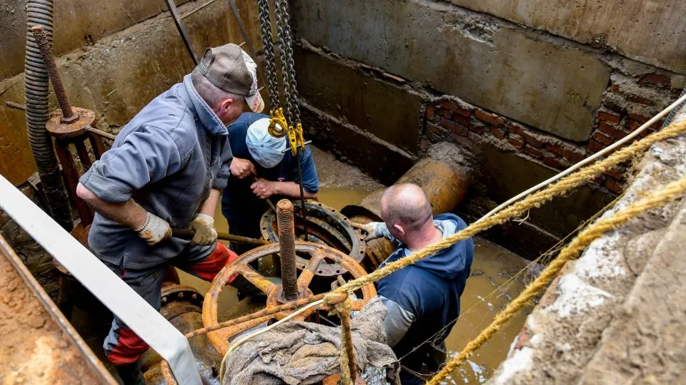 Фото: пресс-служба губернатора и правительства Московской области/Екатерина Агеева