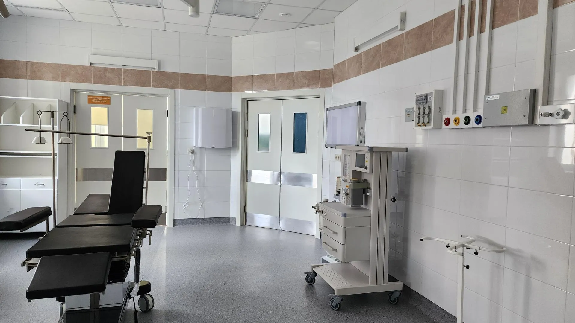 Фото: Анастасия Сараева