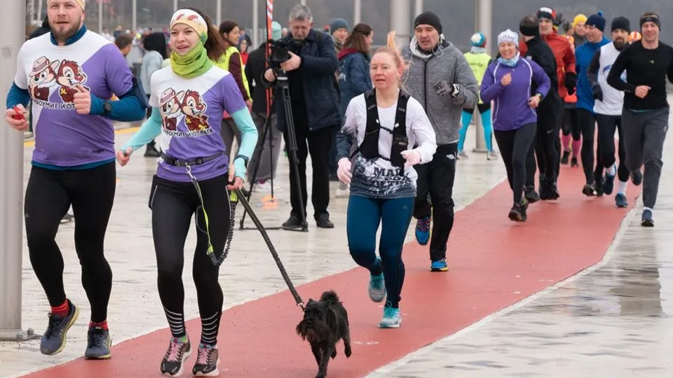 Фото: медиасток.рф