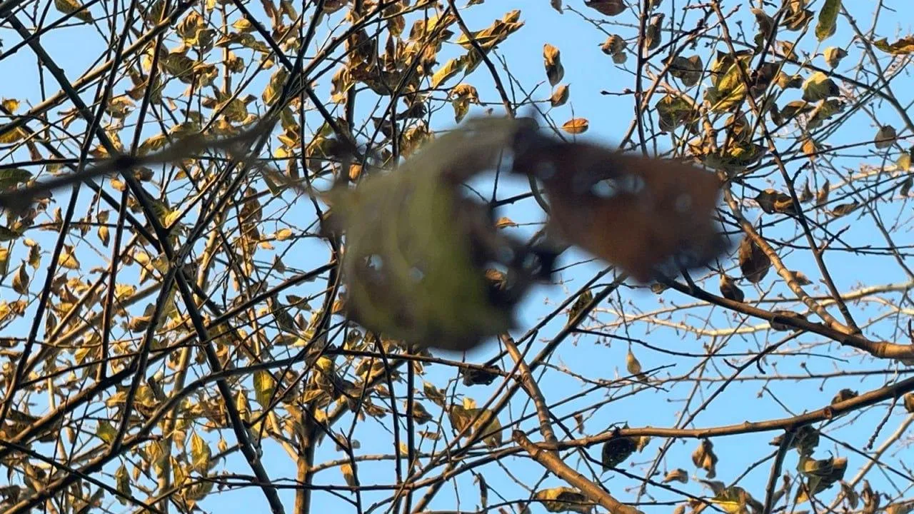 фото: Любовь Ермакова