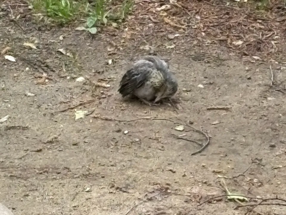 Фото: соцсети