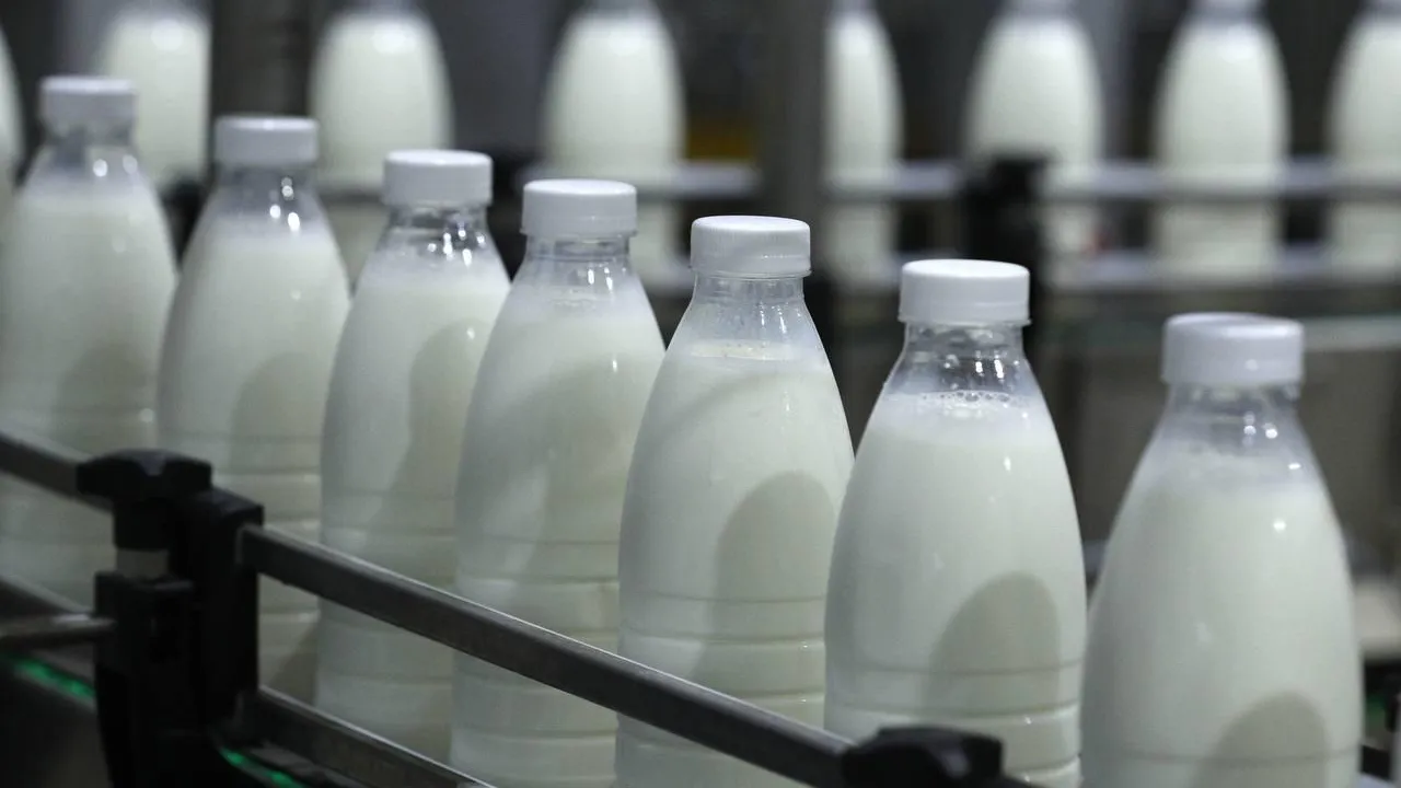 Режим онлайн проверки молочной продукции через систему «Честный знак» начнет действовать в Подмосковье
