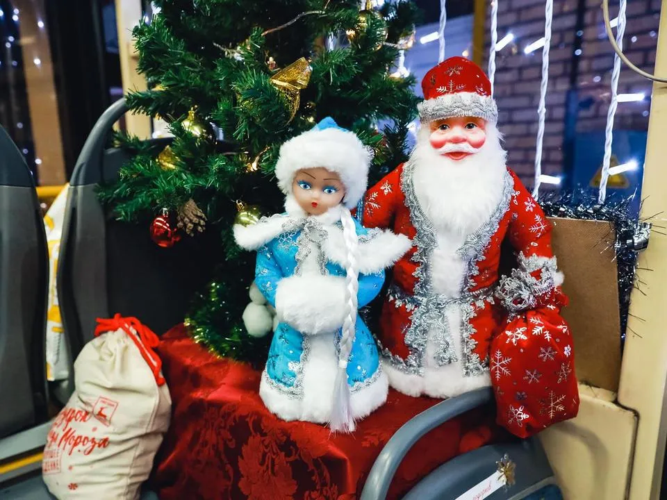 Фото: пресс-служба администрации г.о. Химки