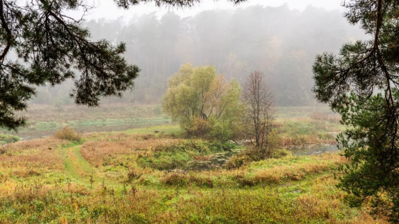 Фото: медиасток.рф