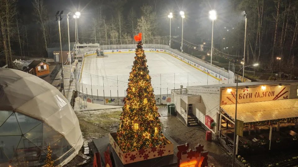 Фото: Министерство благоустройства Московской области