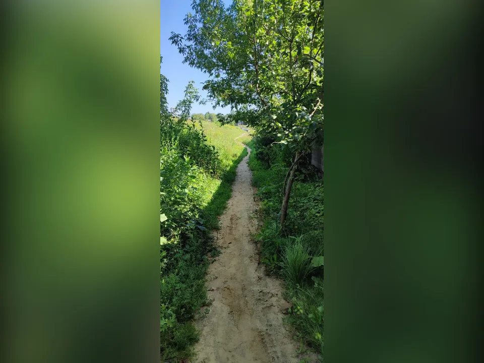 Фото: Сергей Томиловский