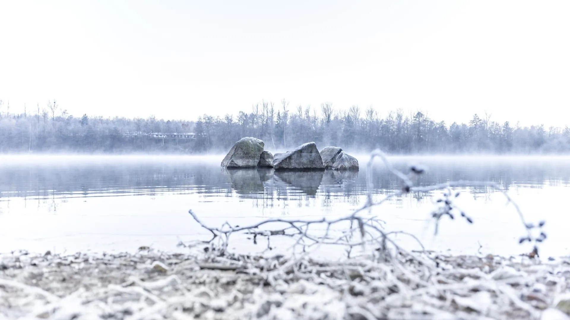 Фото: Pixabay.com