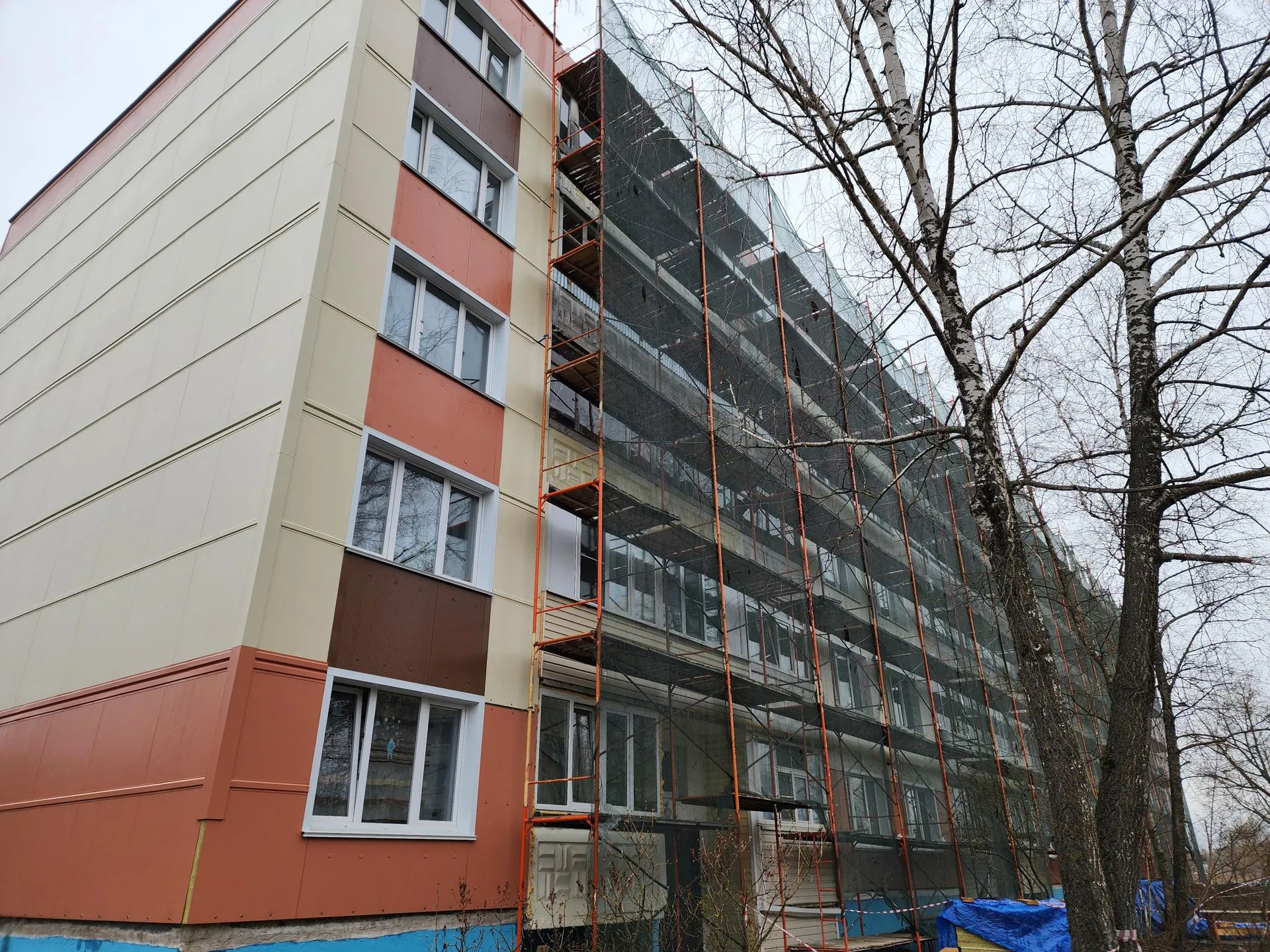 Фото: Светлана Плотникова.