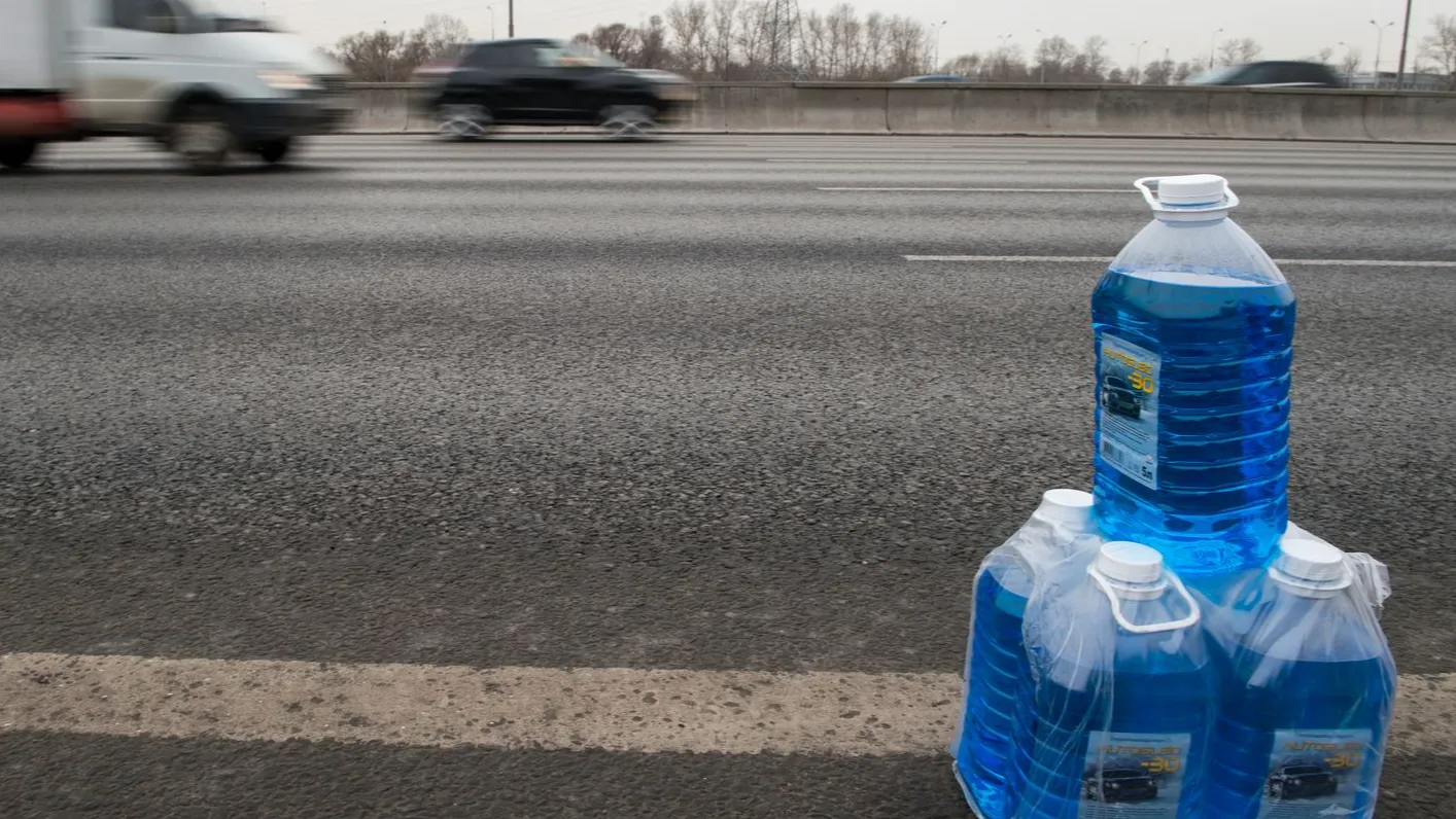 Фото: Медиасток Подмосковья