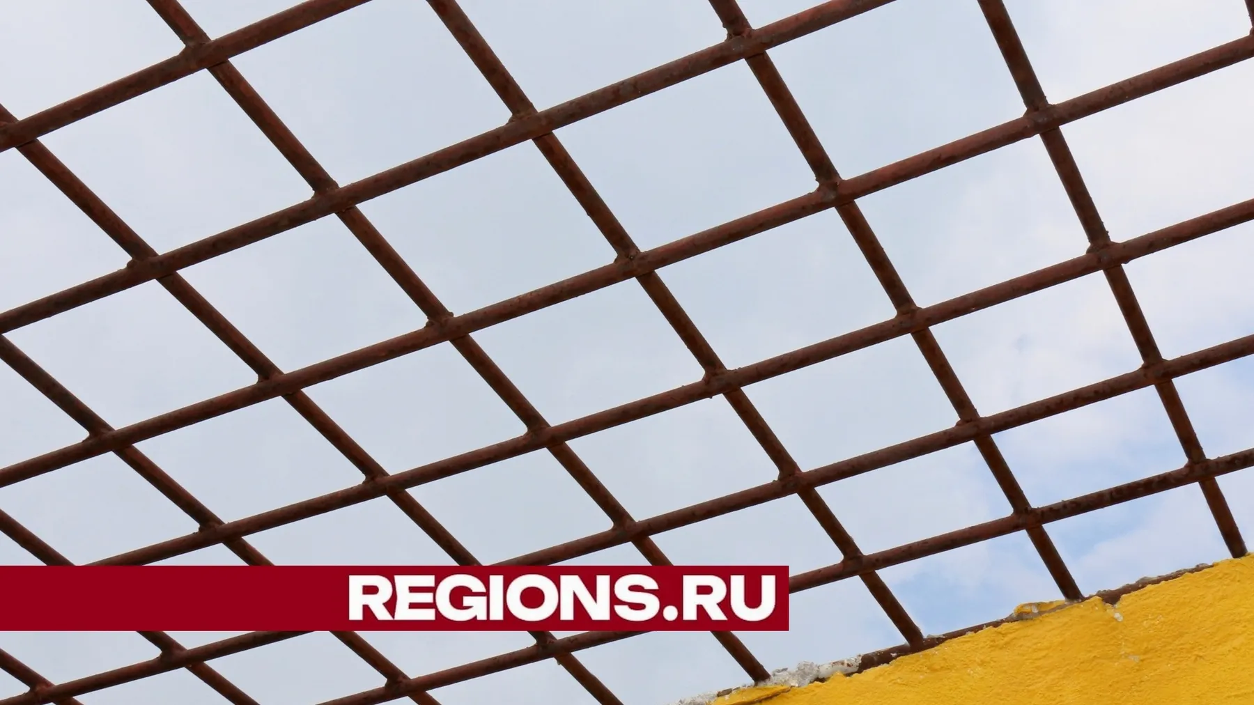 Фото Александра Дрожжина
