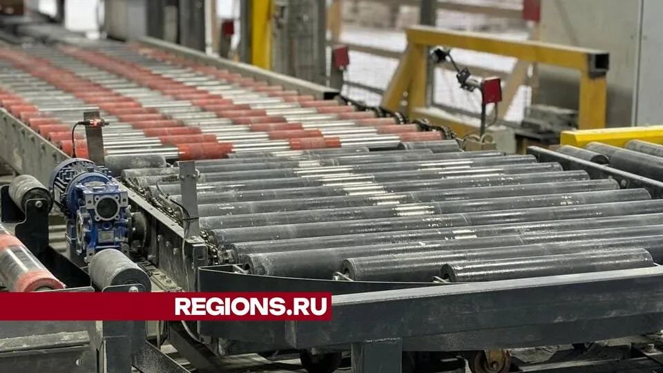 Фото: Светлана Плотникова