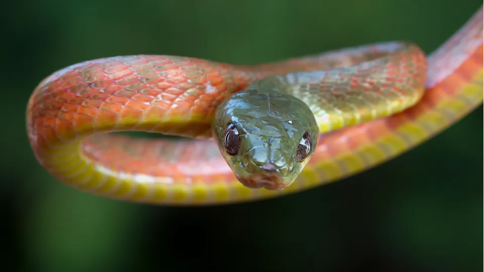 Фото: freepik.com