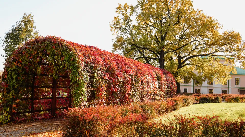 Фото: Министерство культуры и туризма МО