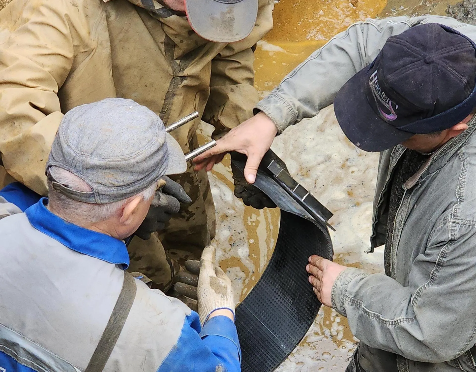 Фото: Нина Басистая