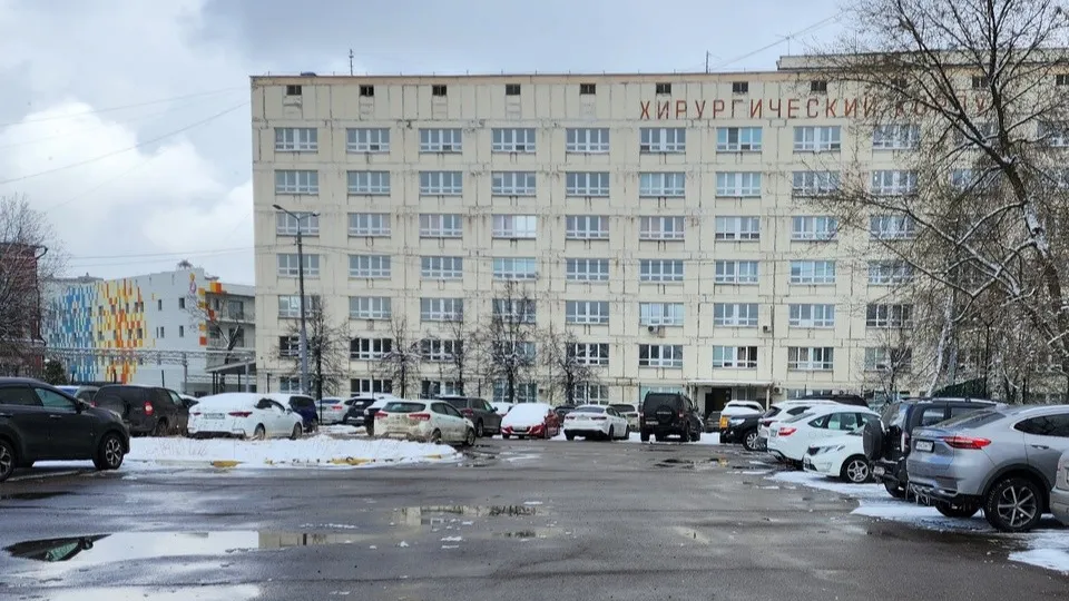 Фото: МедиаБанк Подмосковья/Ирина Моисеева