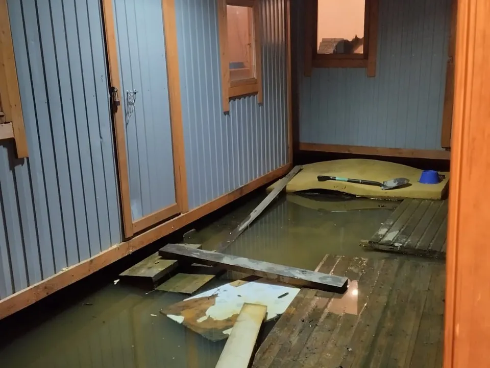 Фото: центр передержки животных «Котлэнд»&nbsp;