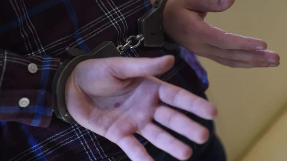 Фото: Медиаархив Подмосковья