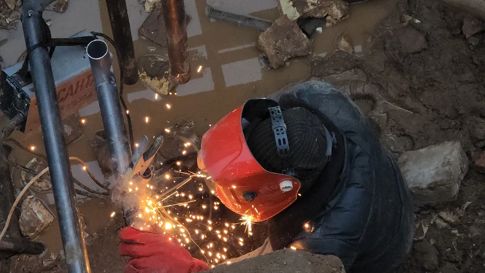 Фото: МедиаБанк Подмосковья/Валерия Тингаева