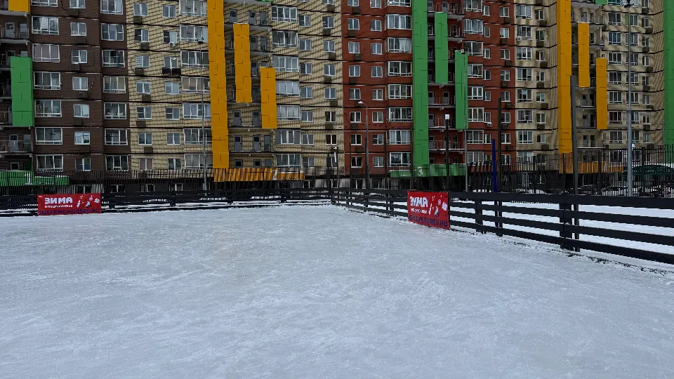 Фото: МедиаБанк Подмосковья/Полина Абраменко