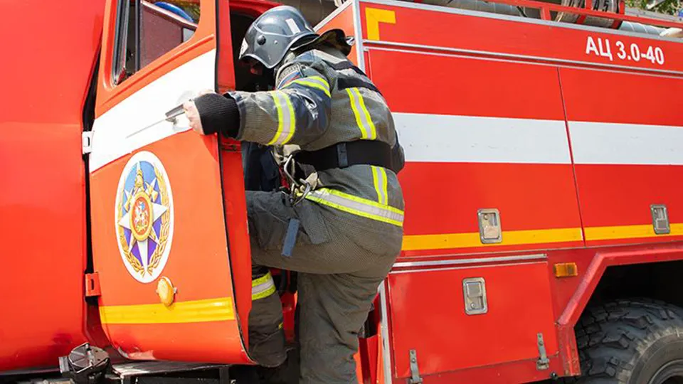 Фото: МедиаБанк Подмосковья/Антон Шаманин