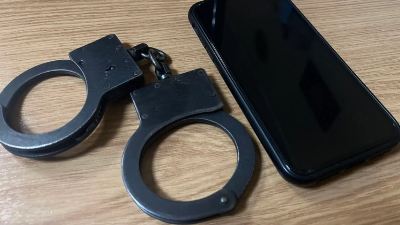 фото: Пресс-служба  УМВД России по Ленинскому г.о.