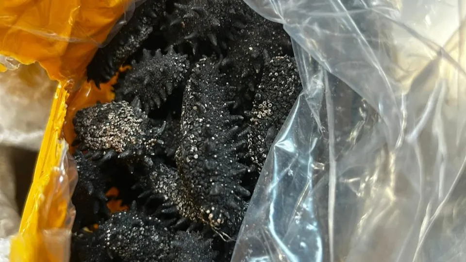 Фото: пресс-служба ФТС России