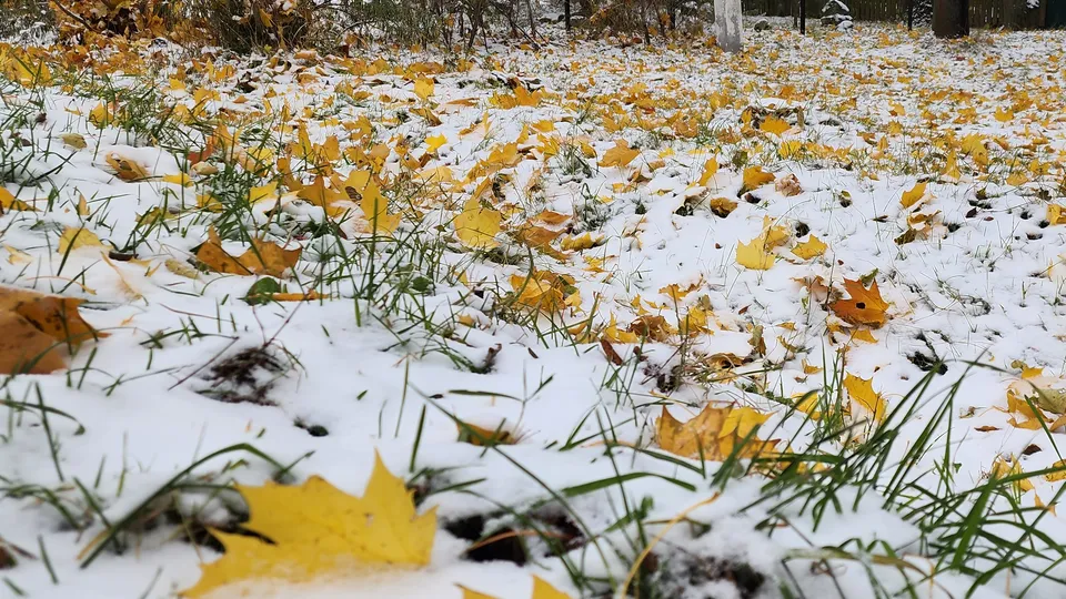 Фото: REGIONS/Наталия Надточая