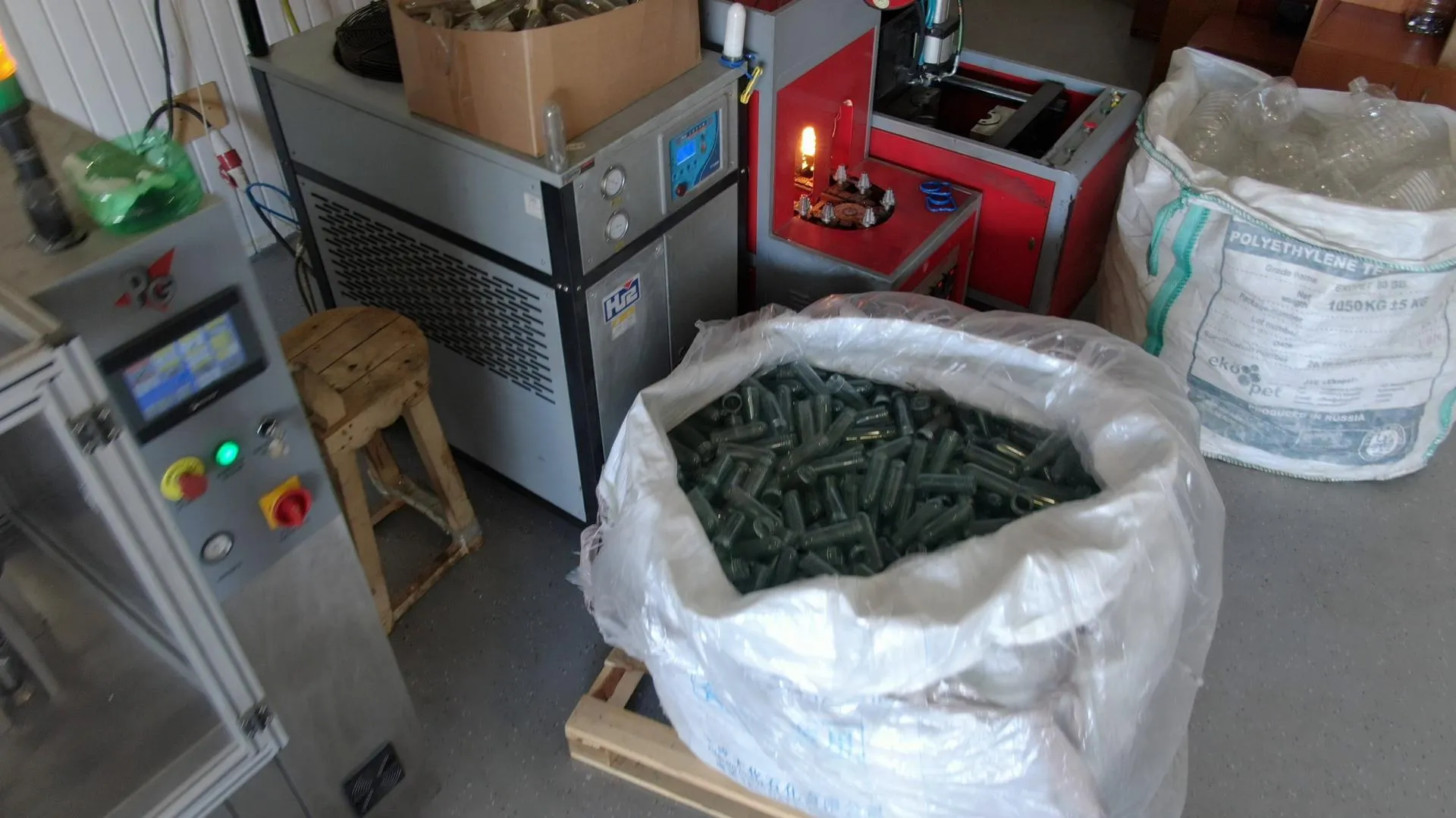 Ксения Борцова