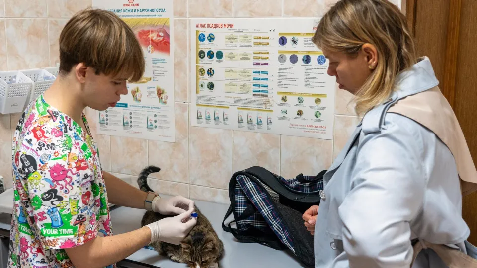 Фото: медиасток.рф