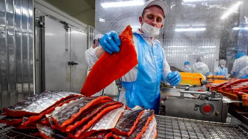 В Подмосковье набирает обороты переработка рыбной продукции 