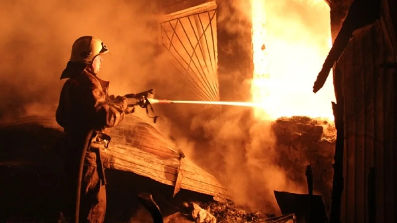 Фото: ГУ МЧС России по Московской области