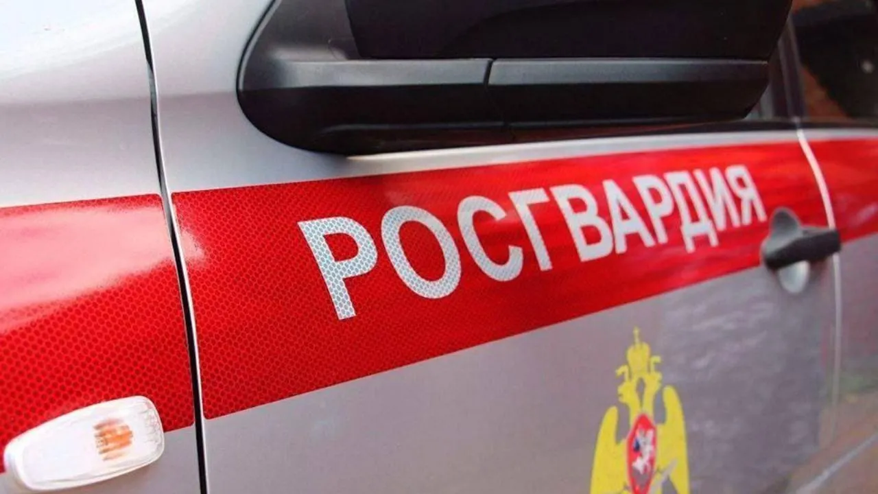 пресс-служба Росгвардии по Московской области