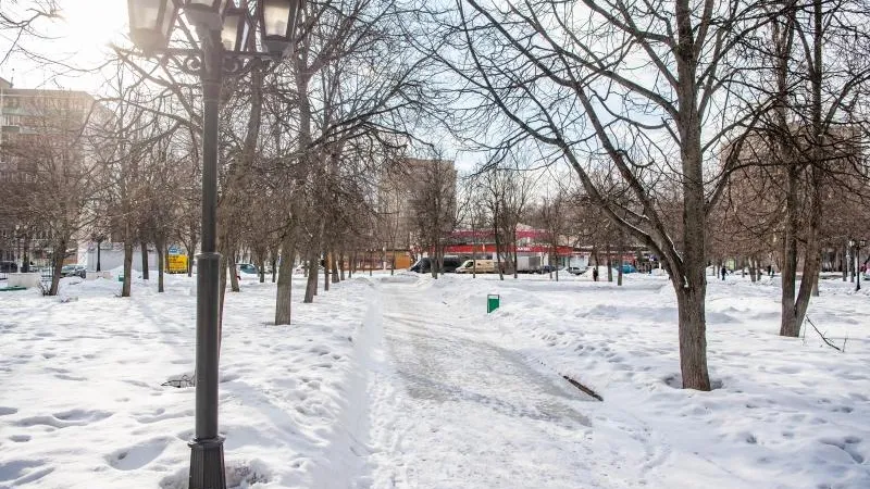 Наталья Николаева