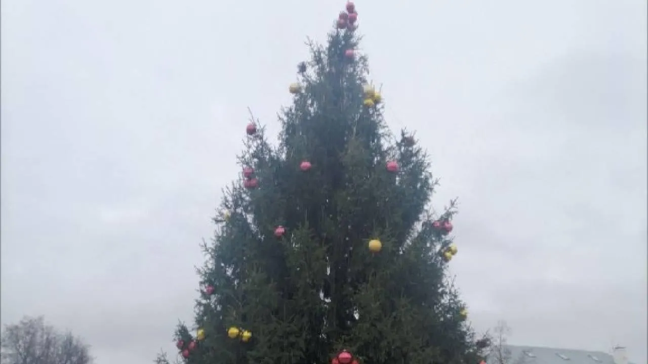 Стоп панике: «бубенцы» на ели в Наро-Фоминске вместо звезды вызвали жесткую критику горожан