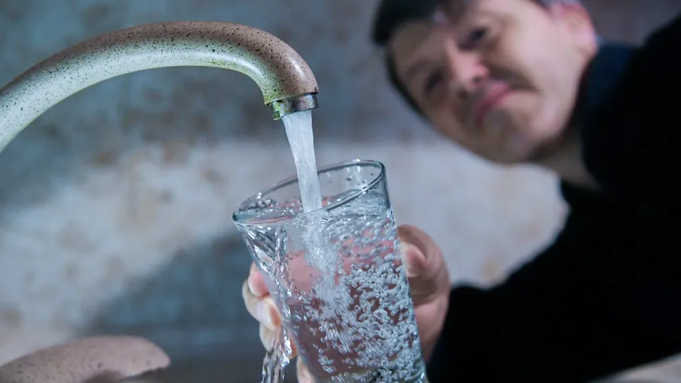 Фото: пресс-служба губернатора и правительства Московской области