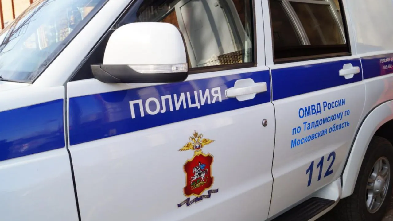 Фото: пресс-службы ОМВД по Талдомского округа