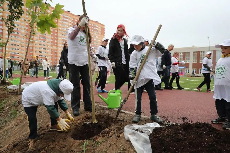 Источник: пресс-служба администрации Одинцовского округа
