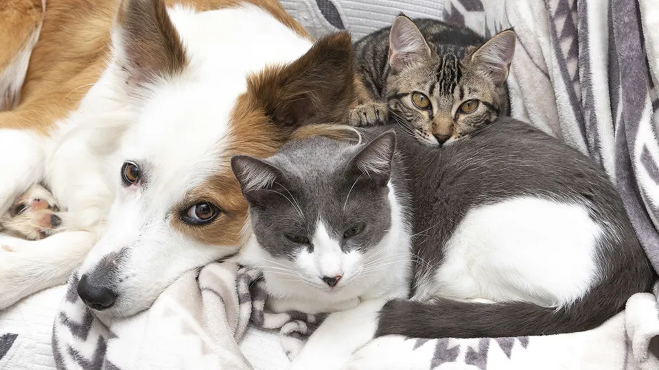 Фото: istockphoto.com