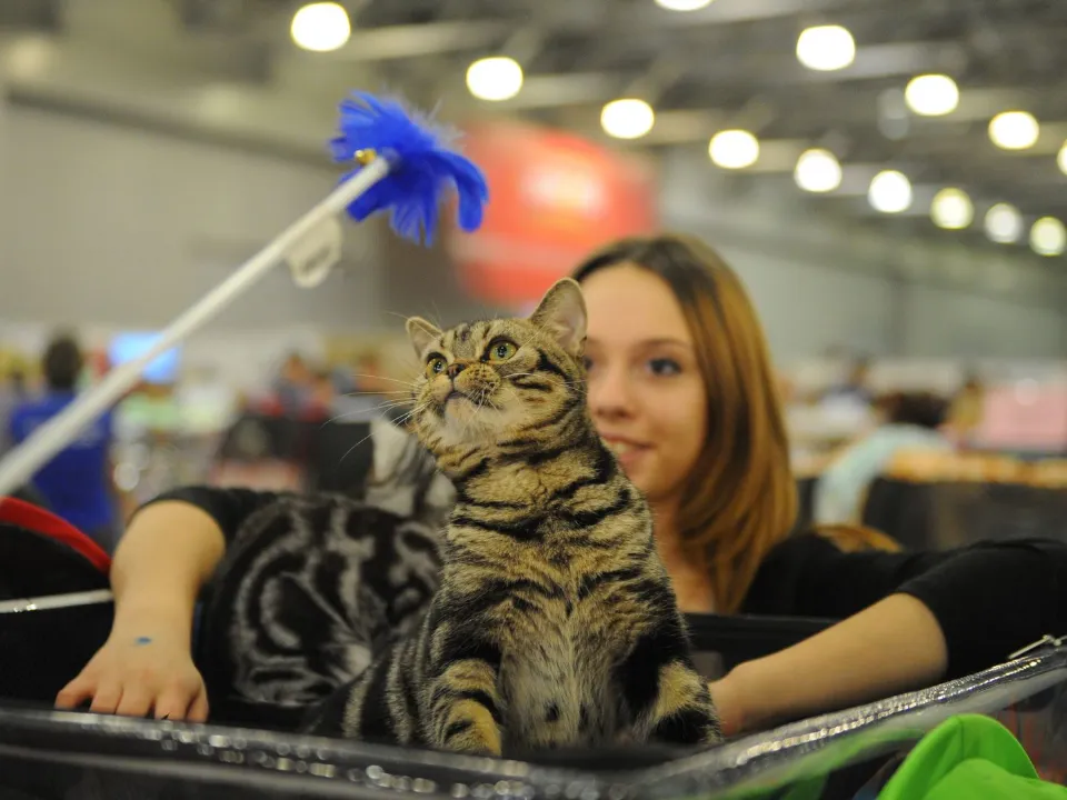 Фото: медиасток.рф