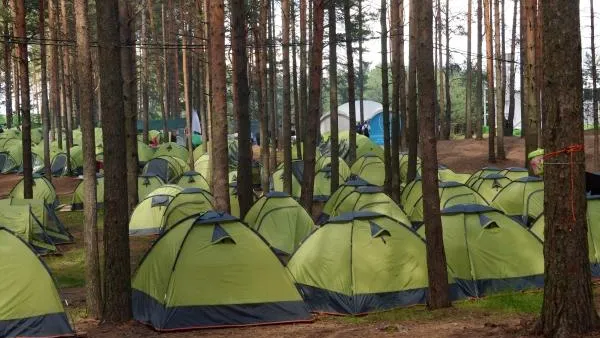 В подмосковном лагере научат стрелять из лука