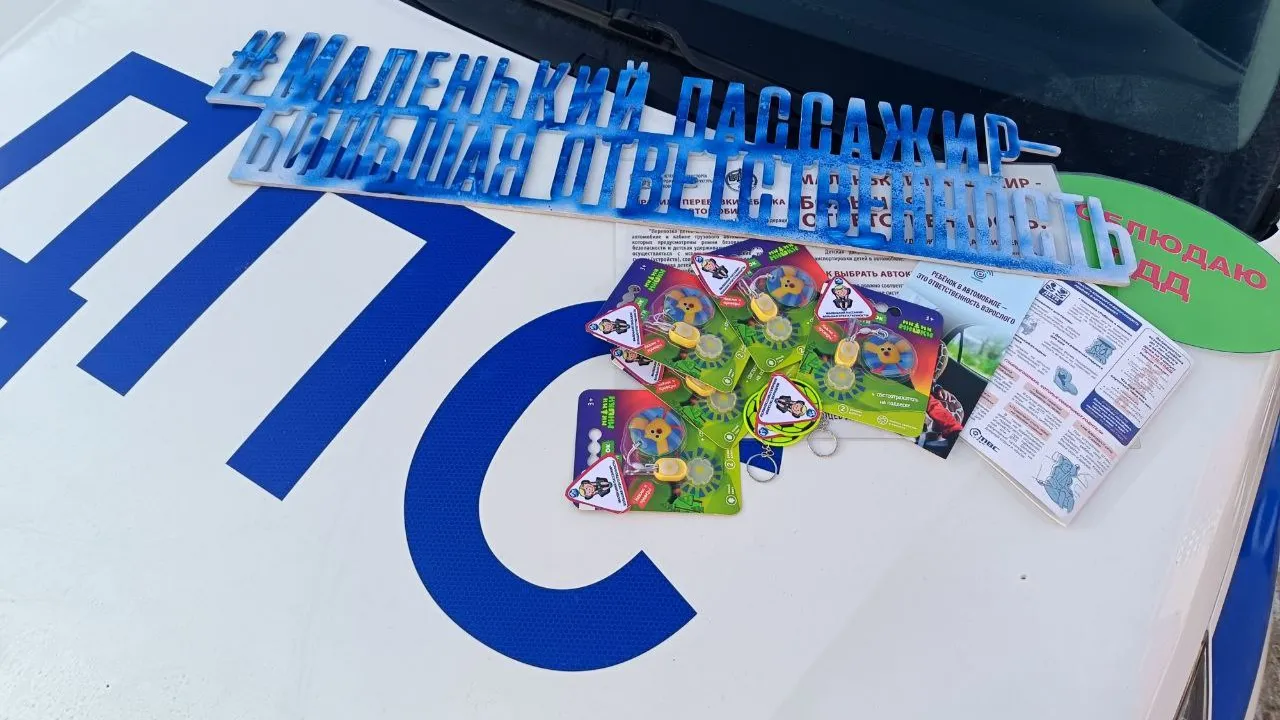 Госавтоинспекция УМВД России по г. о. Домодедово