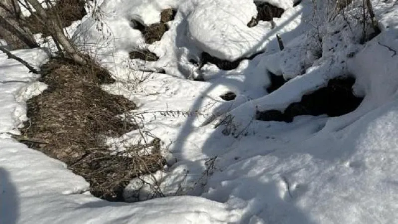 Минэкологии МО