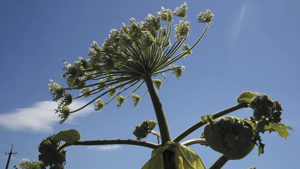 Фото: REGIONS/Нина Соколова